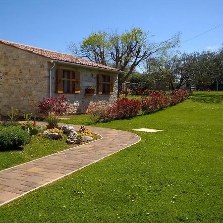 Holiday House Sweet Home Umag Luaran gambar